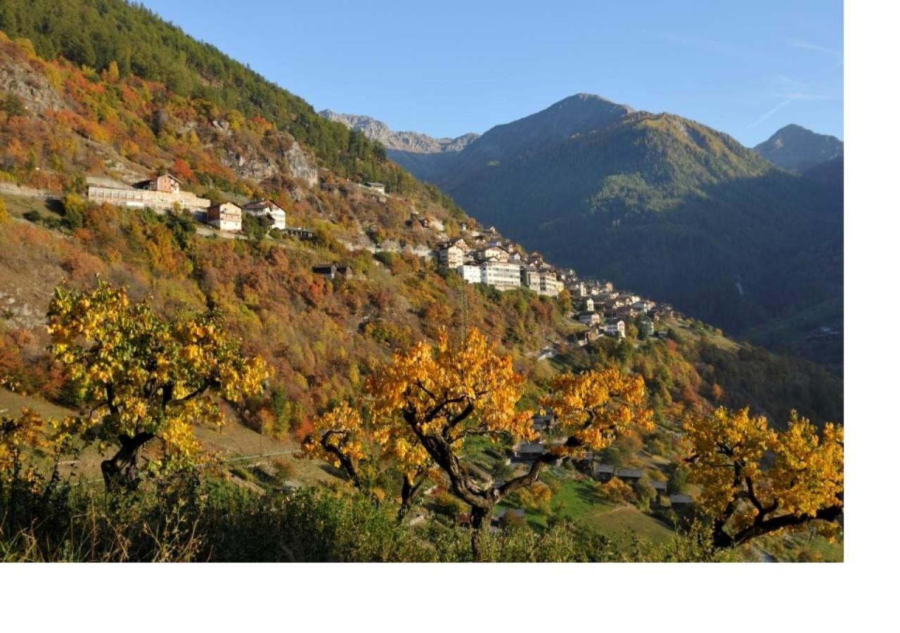 Le Cocon Du Catogne Proche Martigny Verbier - Netflix - Valettes 外观 照片