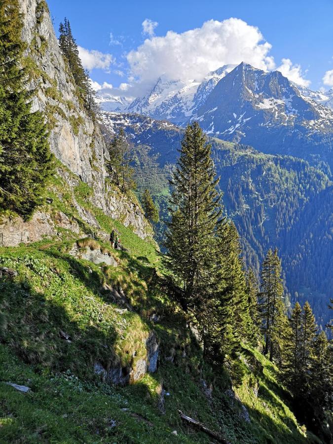 Le Cocon Du Catogne Proche Martigny Verbier - Netflix - Valettes 外观 照片