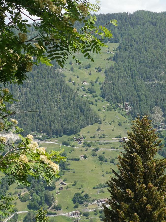 Le Cocon Du Catogne Proche Martigny Verbier - Netflix - Valettes 外观 照片